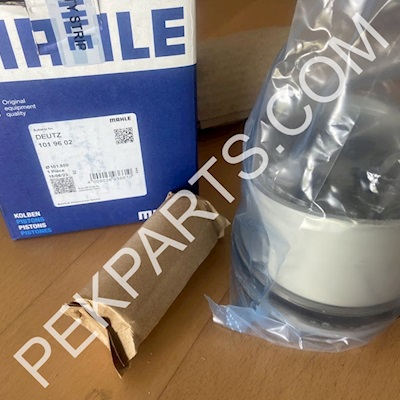 1019602 Mahle Piston - Mahle 1019602 Piston